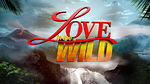 LoveInTheWild